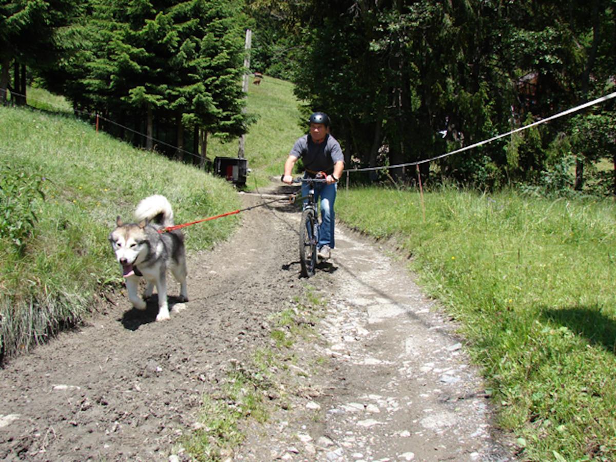 Les Chalets Autrichiens - Megève Екстериор снимка